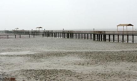 《战锤40K：星际战士2》两段新预告片